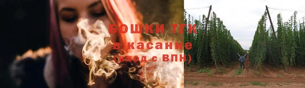 трава Заволжье