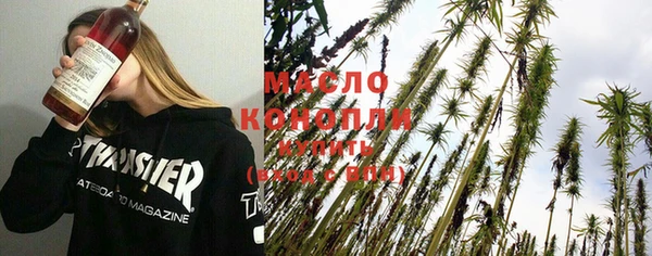 молекула духа Заводоуковск
