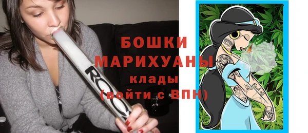 молекула духа Заводоуковск