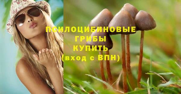 трава Заволжье