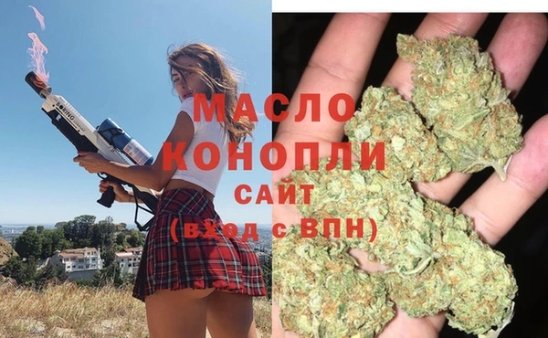 индика Тихвин