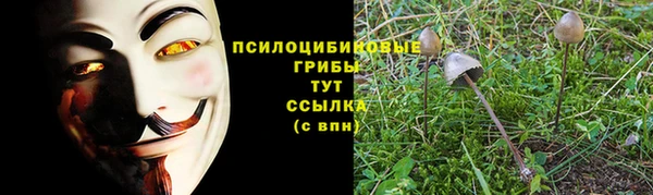 трава Заволжье
