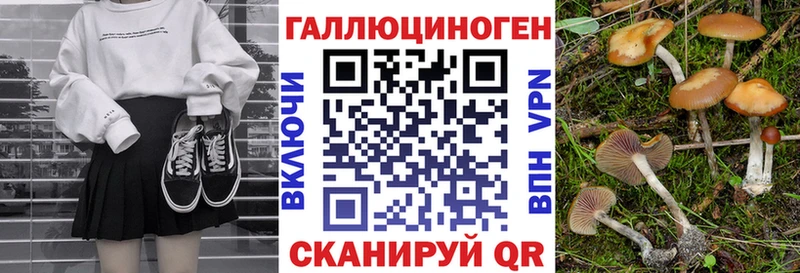 Купить закладки  Лениногорск  Галлюциногенные грибы Cubensis 